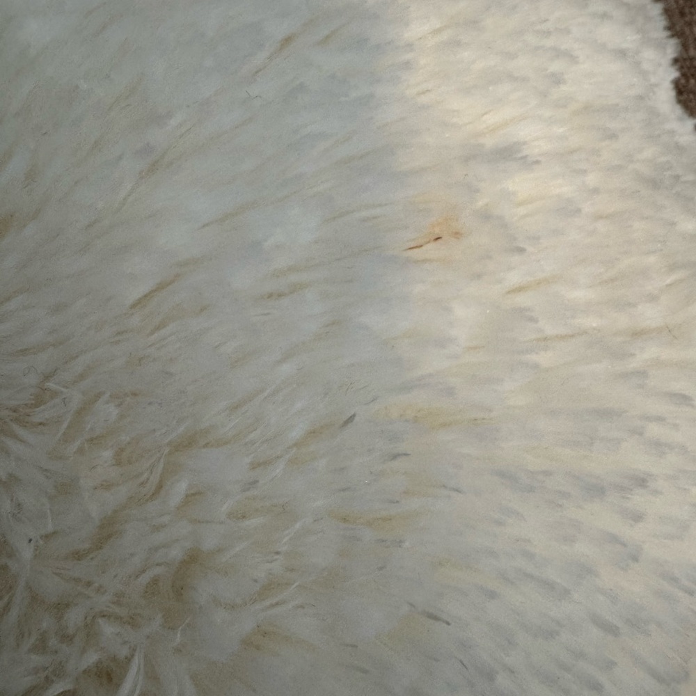 Plush Lamb/Sheep Pillow Pet Plush - Picture 3 of 9